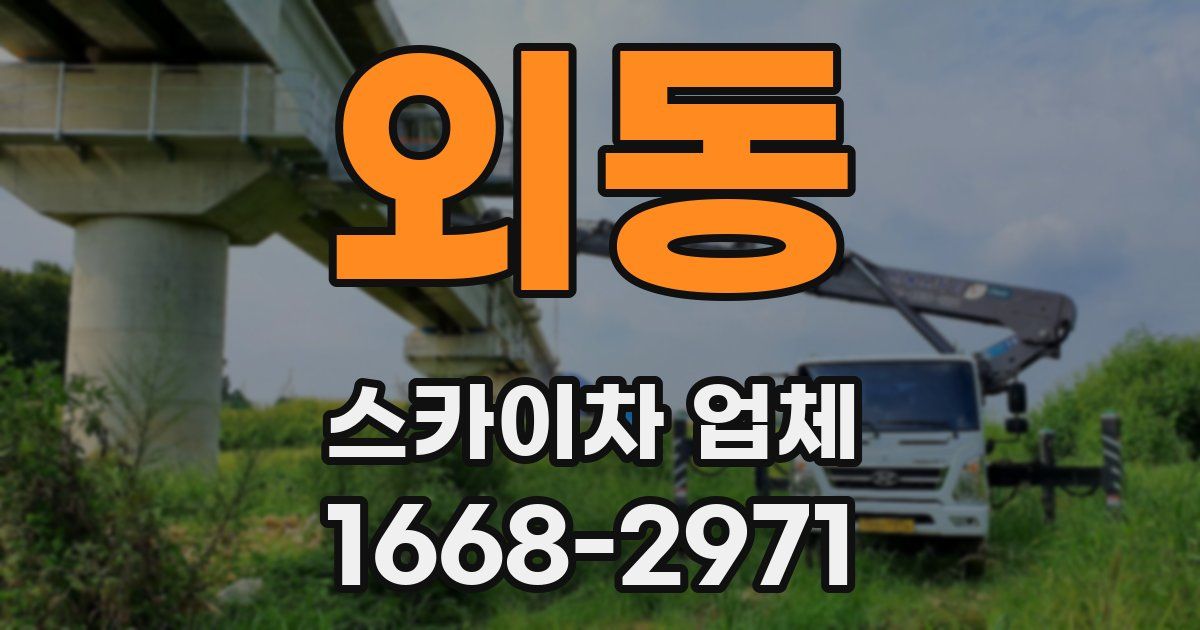 외동 스카이차 업체