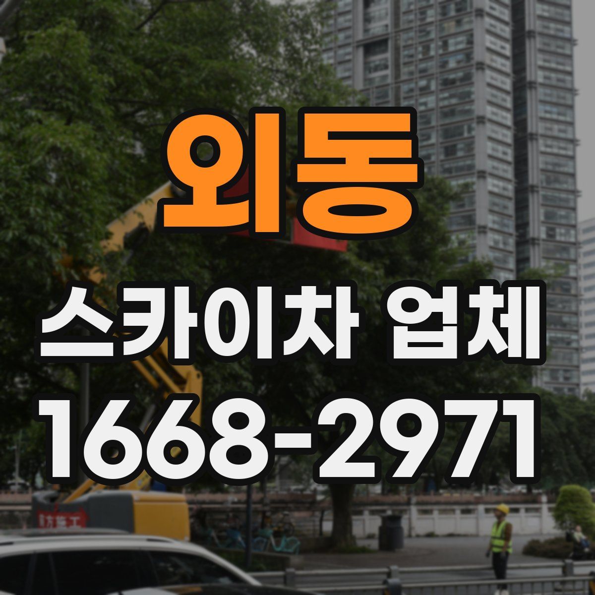 외동 스카이차 업체