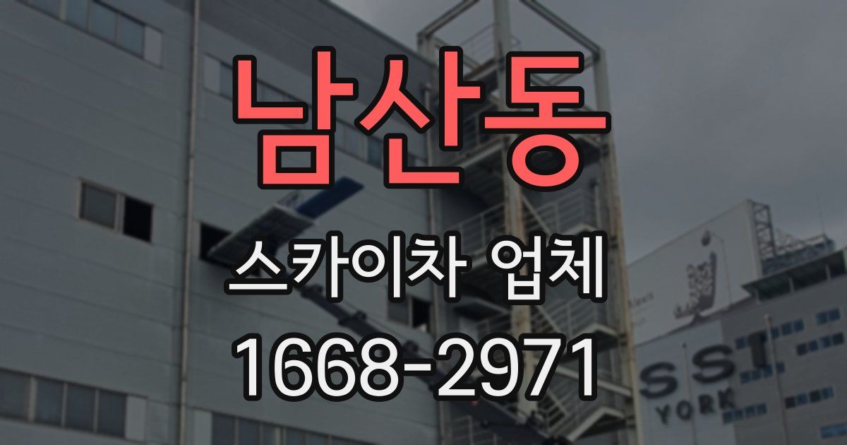 남산동 스카이차 업체