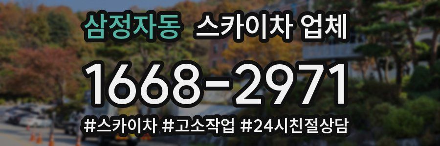 삼정자동 스카이차 업체