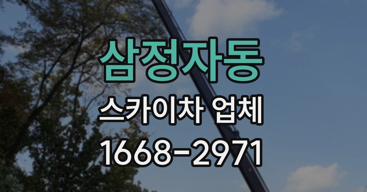 삼정자동 스카이차 업체