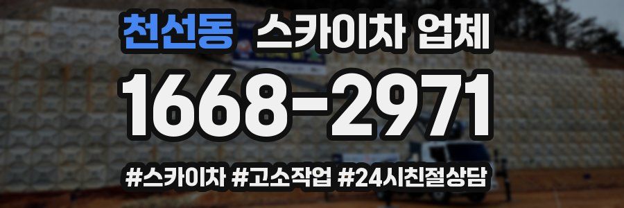 천선동 스카이차 업체