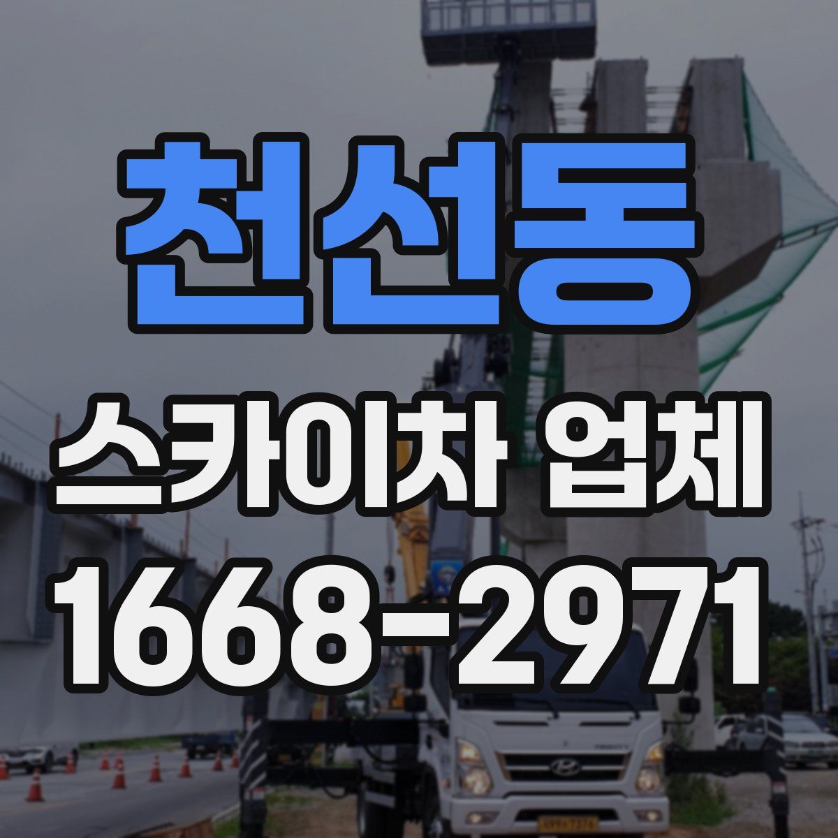 천선동 스카이차 업체