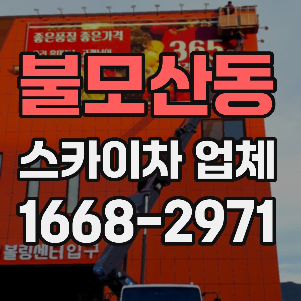 불모산동 스카이차 업체