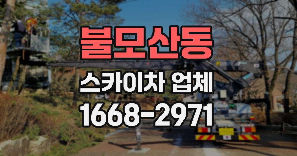 불모산동 스카이차 업체