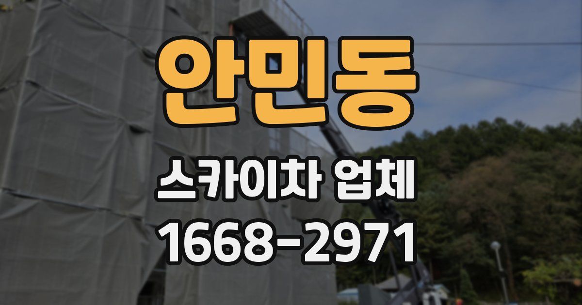 안민동 스카이차 업체