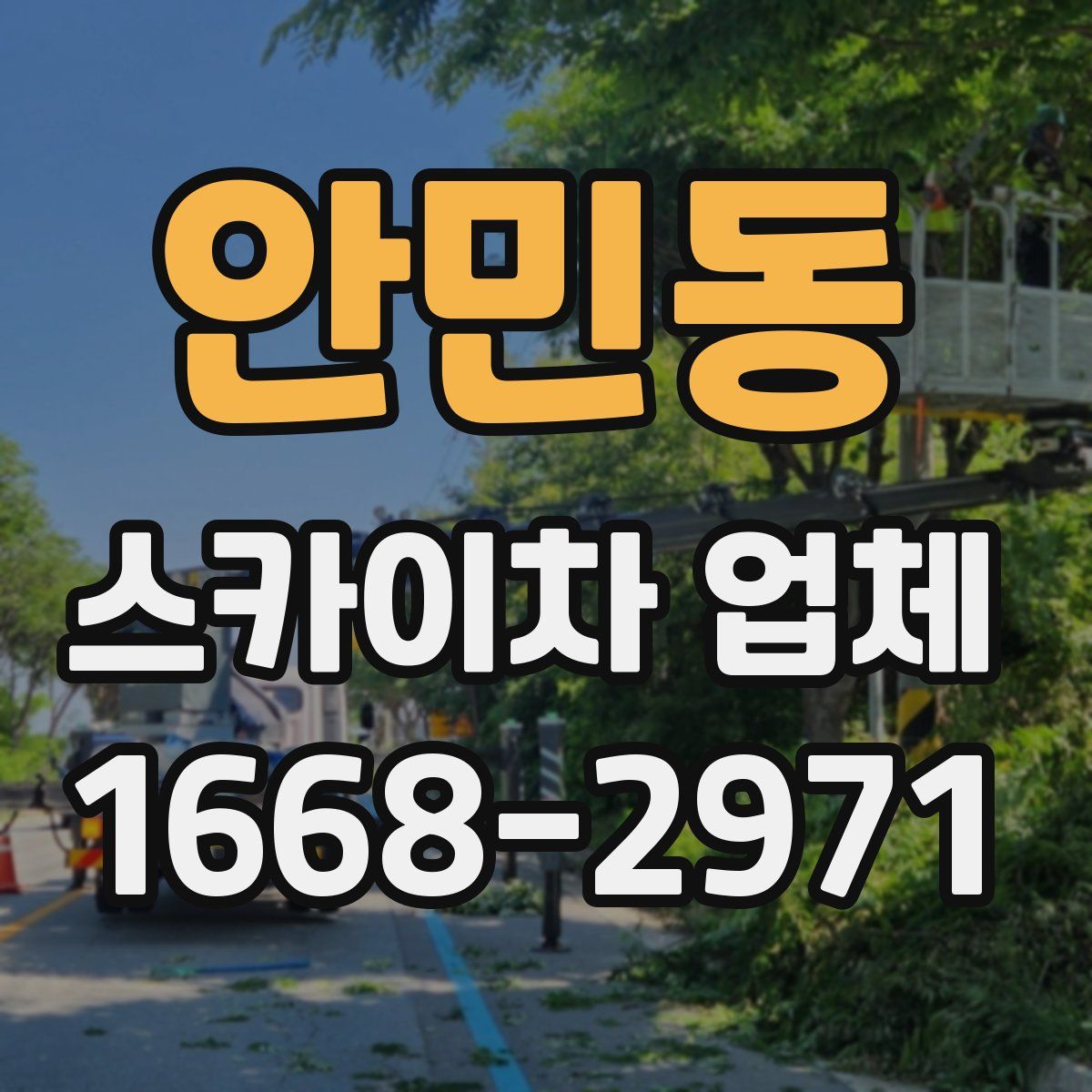 안민동 스카이차 업체
