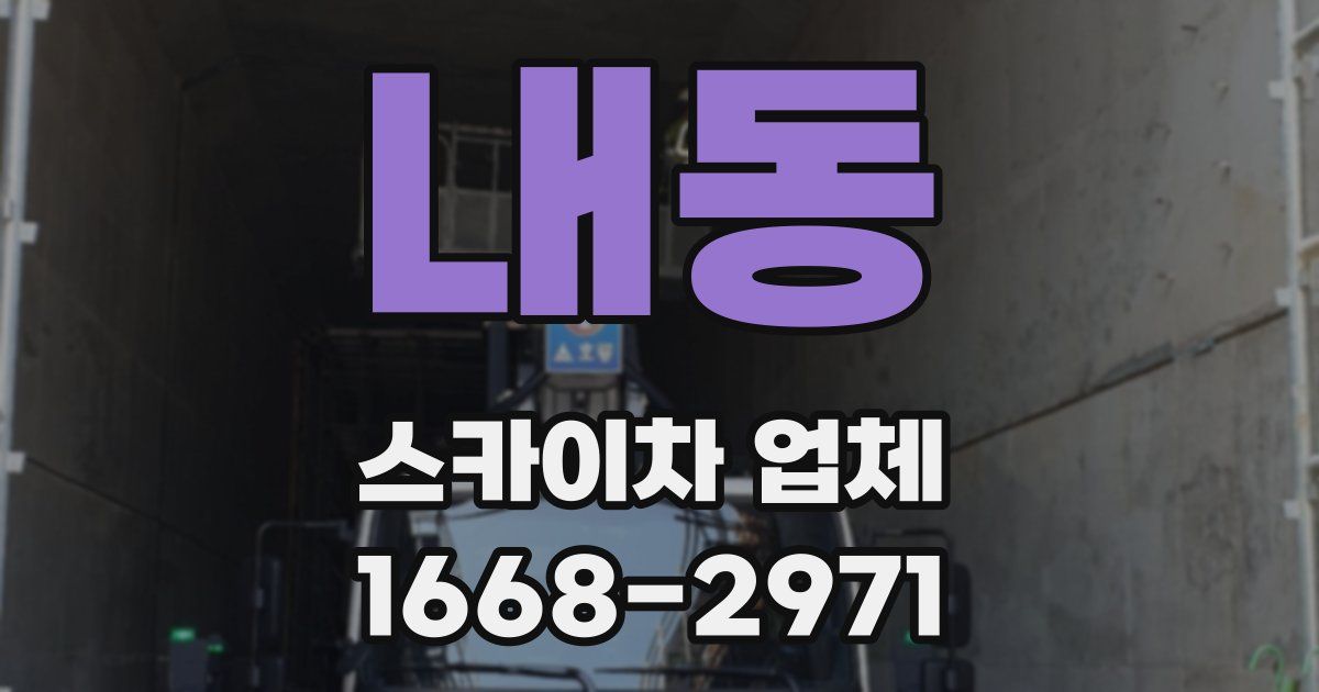 내동 스카이차 업체