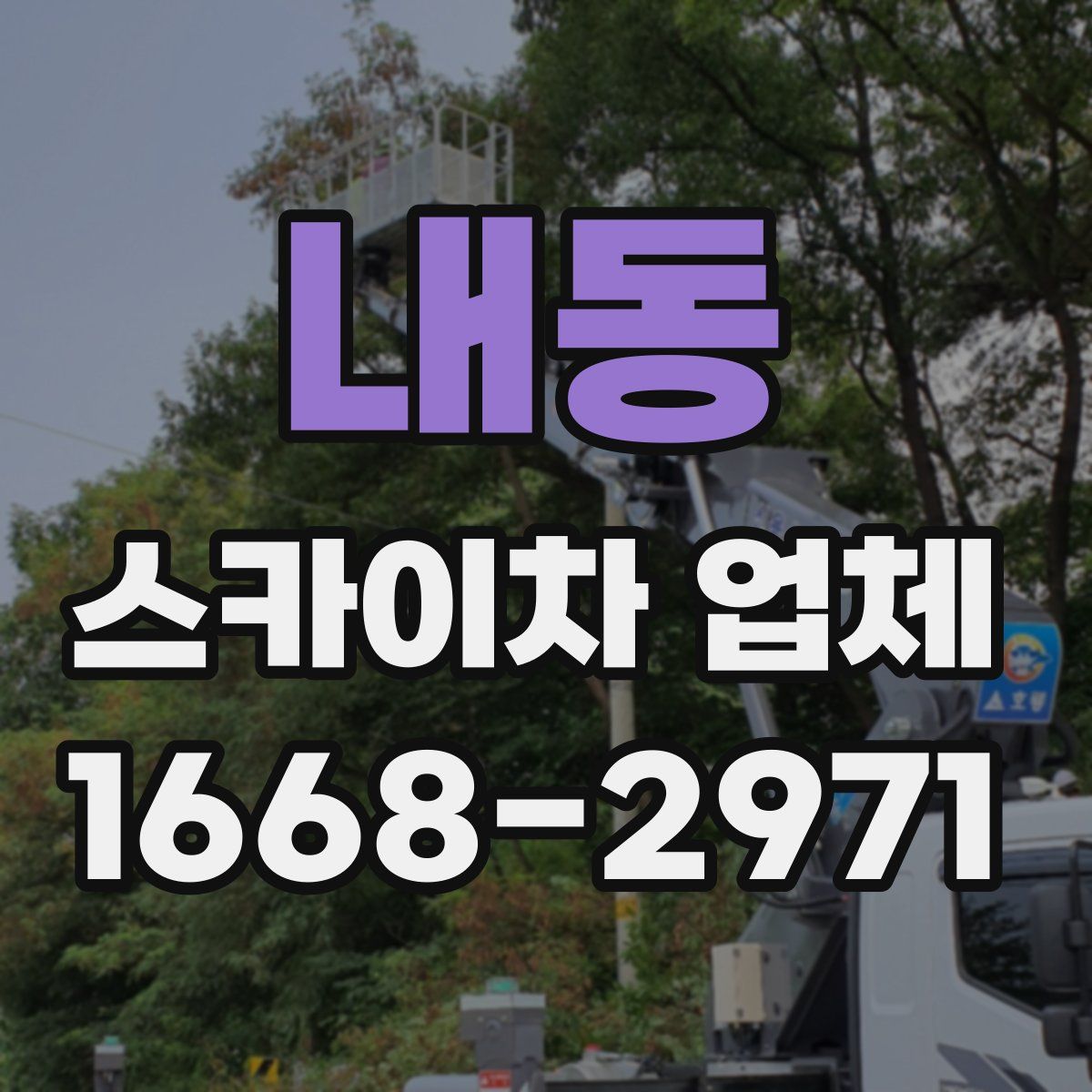 내동 스카이차 업체