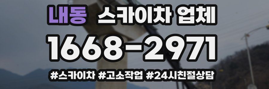 내동 스카이차 업체