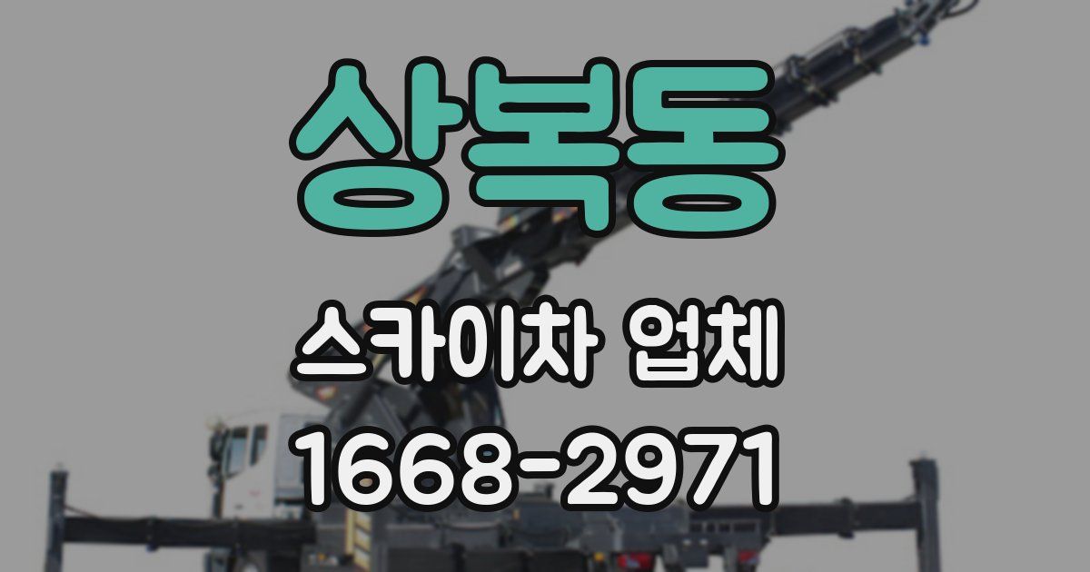 상복동 스카이차 업체