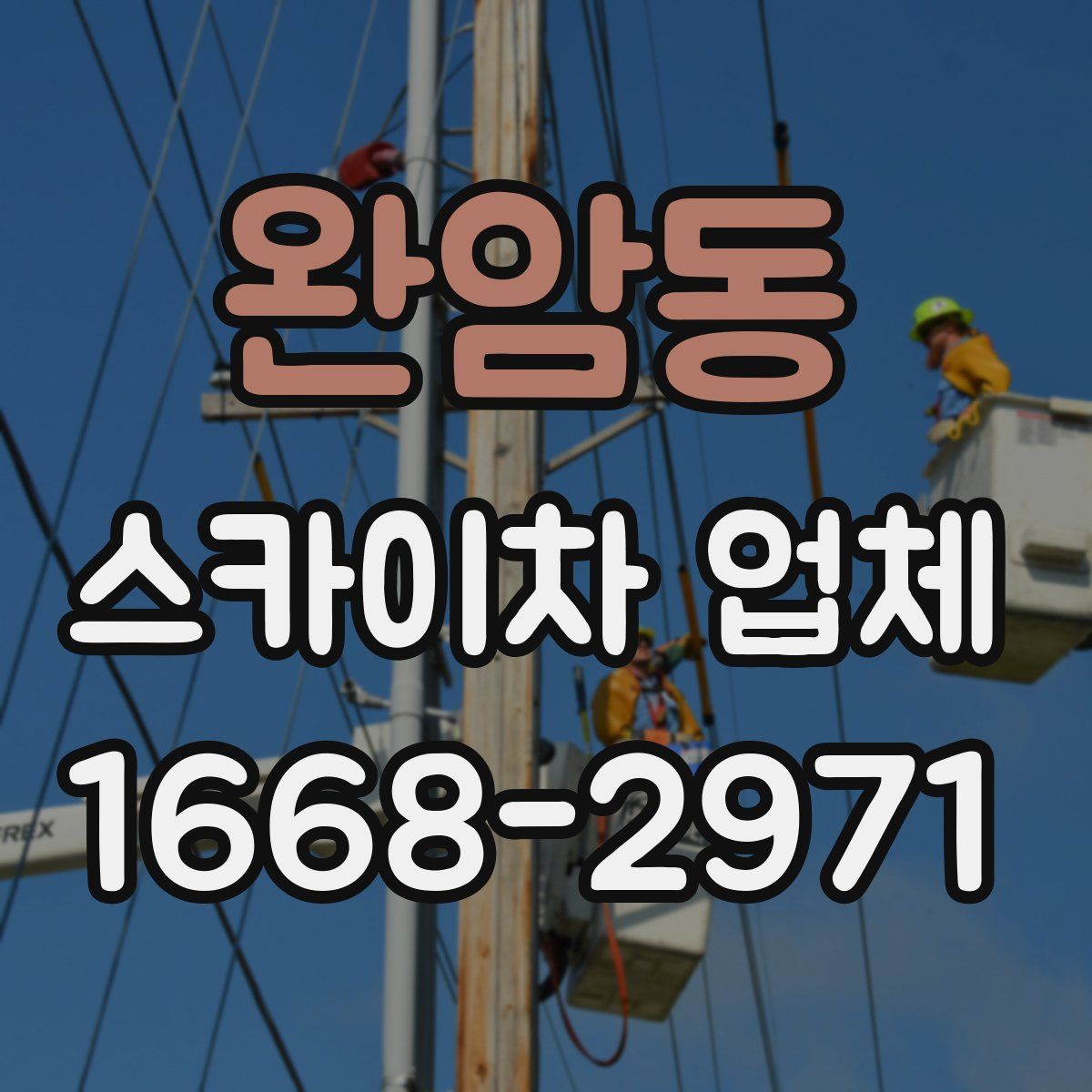 완암동 스카이차 업체