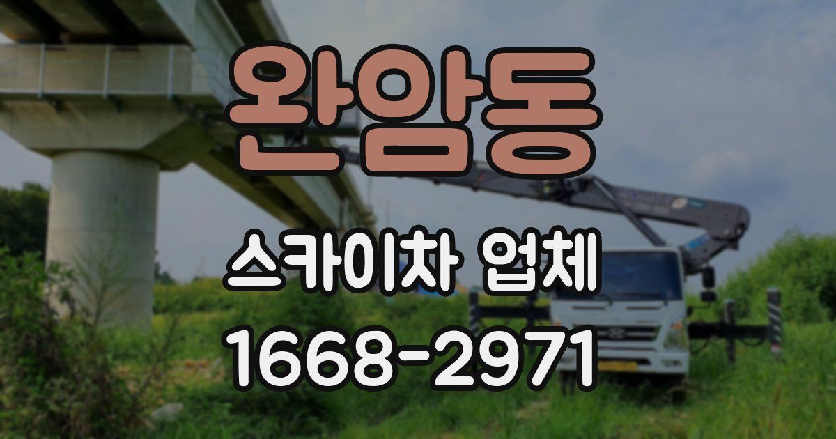 완암동 스카이차 업체