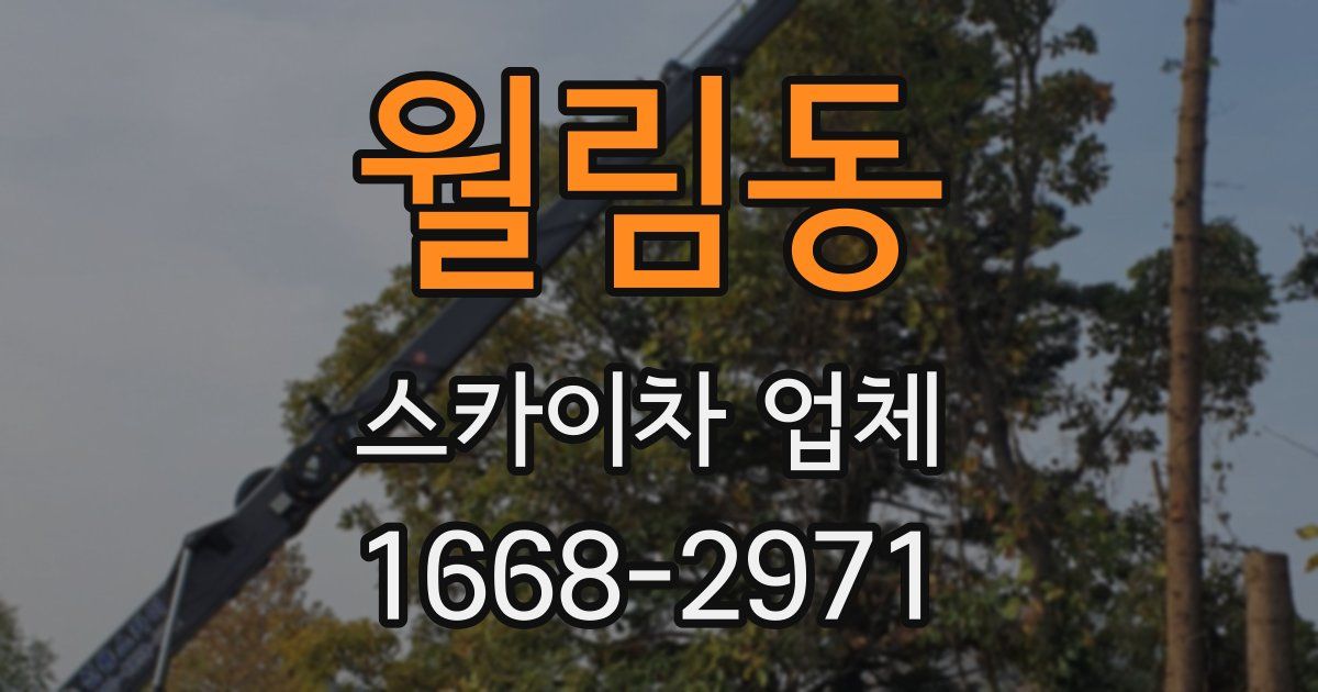 월림동 스카이차 업체