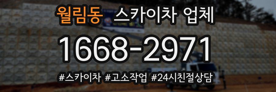 월림동 스카이차 업체