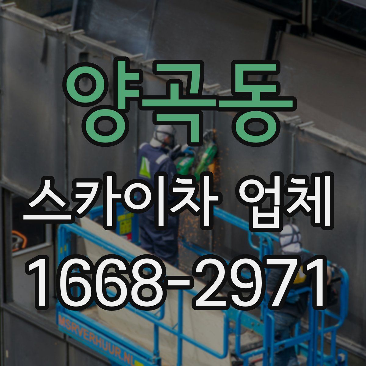 양곡동 스카이차 업체