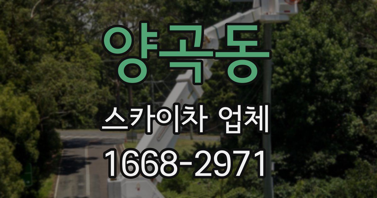 양곡동 스카이차 업체