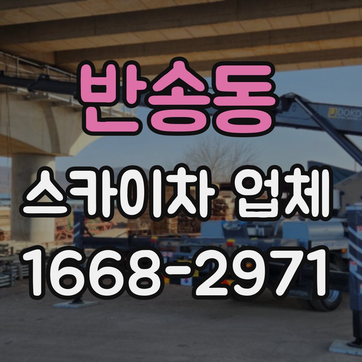 반송동 스카이차 업체