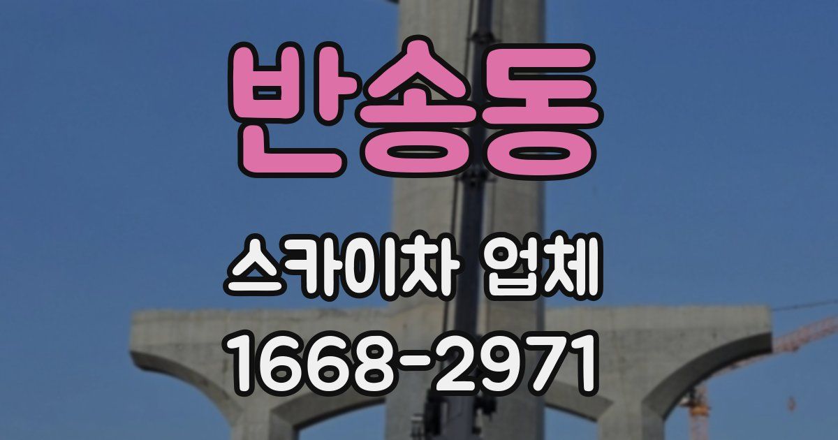 반송동 스카이차 업체