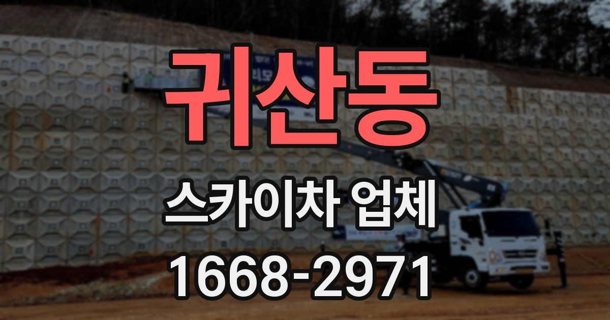 귀산동 스카이차 업체