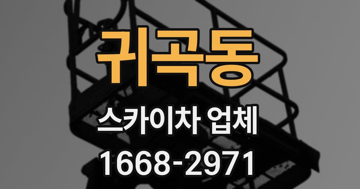 귀곡동 스카이차 업체