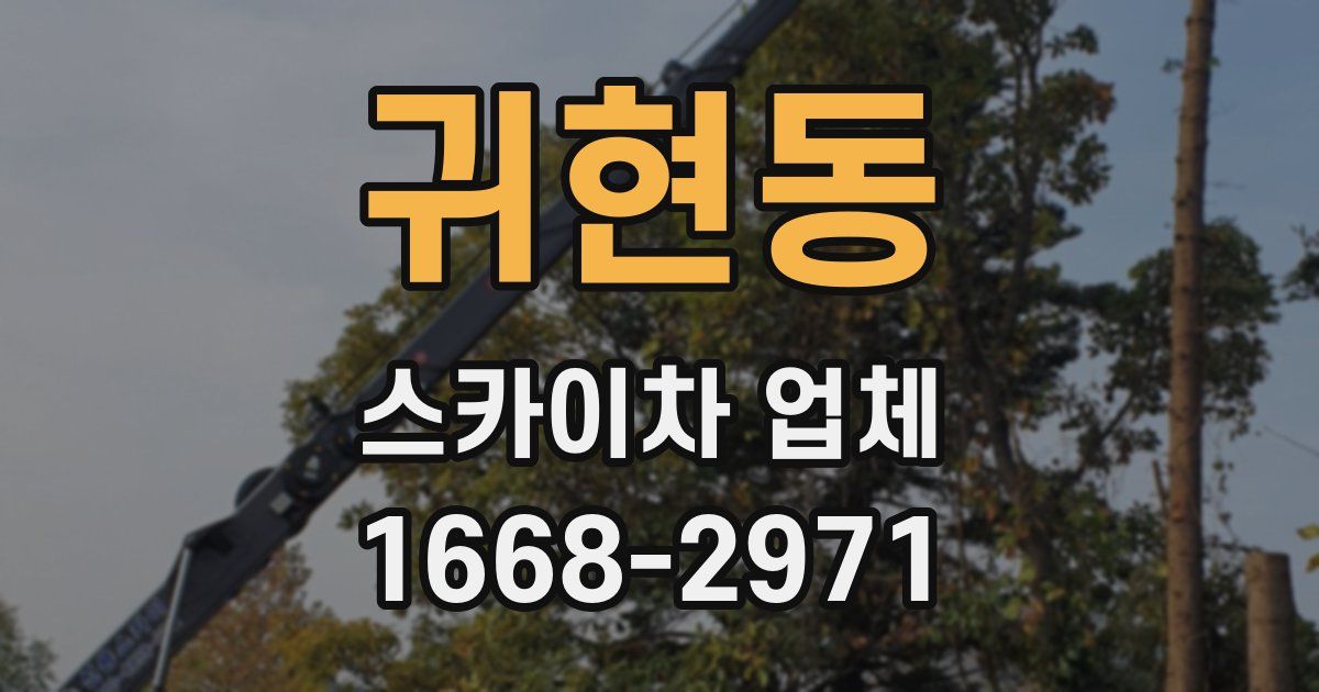 귀현동 스카이차 업체