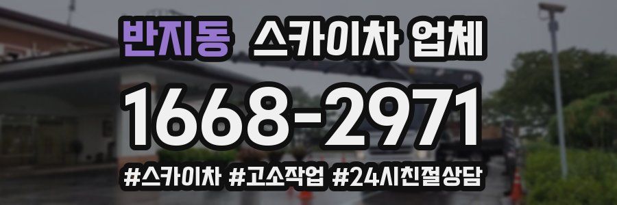 반지동 스카이차 업체