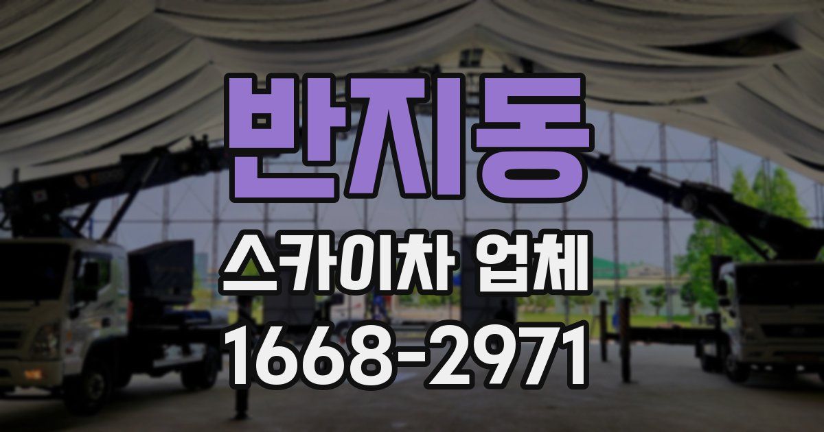 반지동 스카이차 업체
