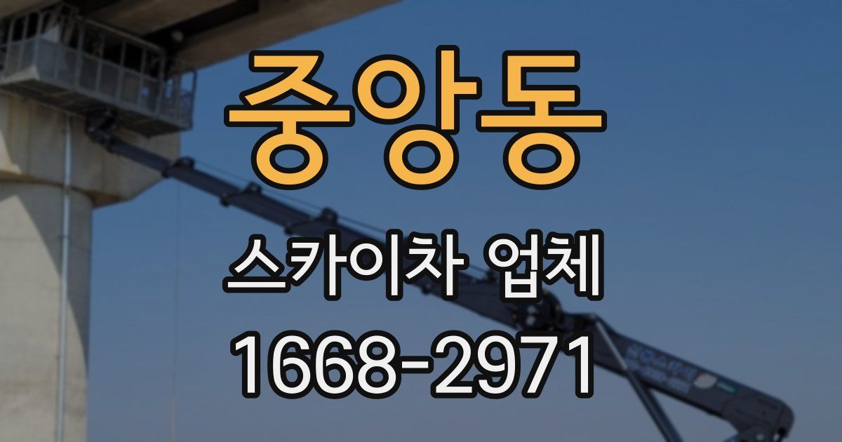 중앙동 스카이차 업체