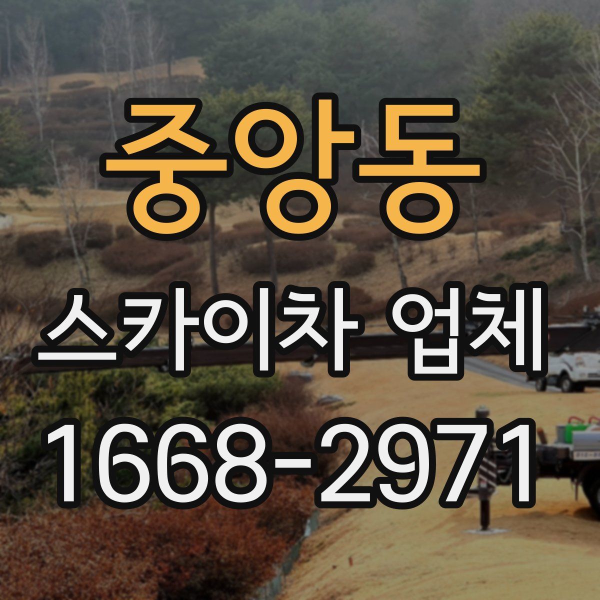 중앙동 스카이차 업체