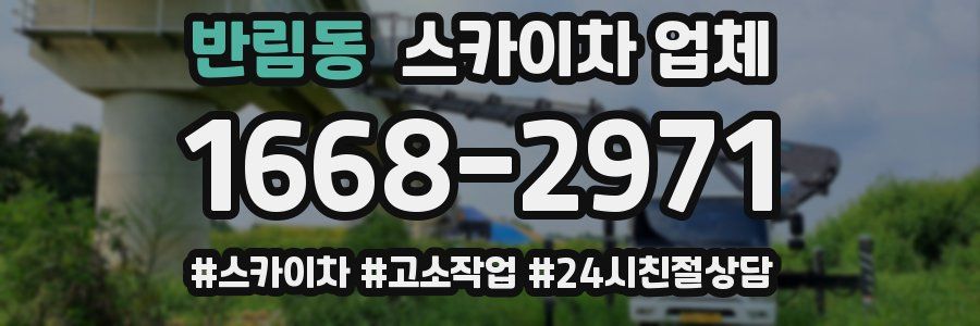 반림동 스카이차 업체
