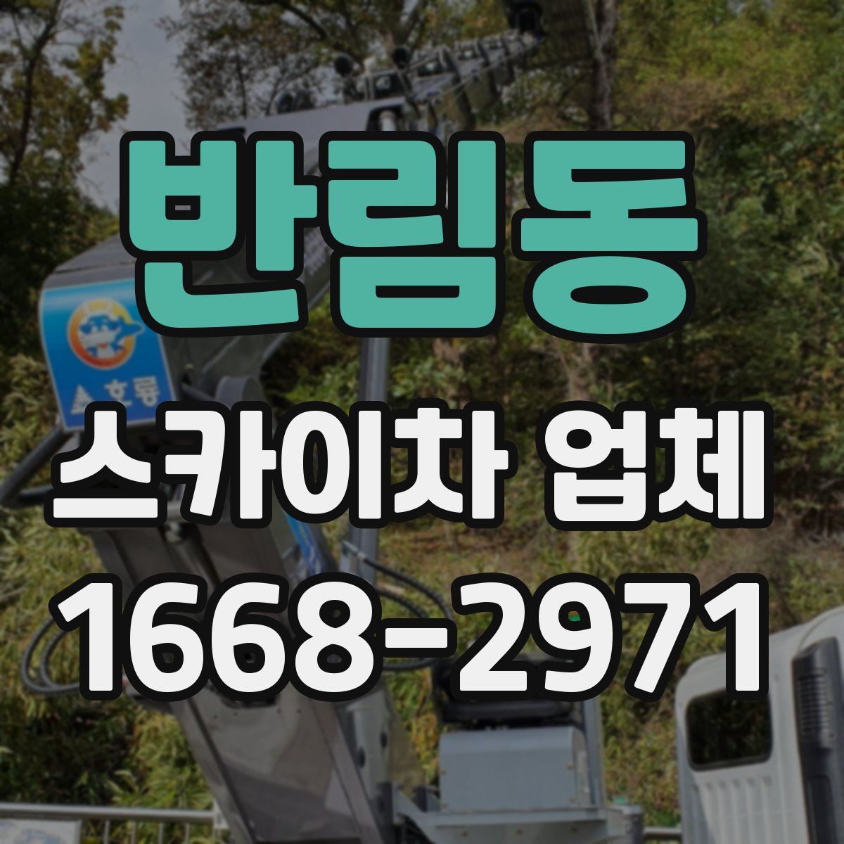 반림동 스카이차 업체