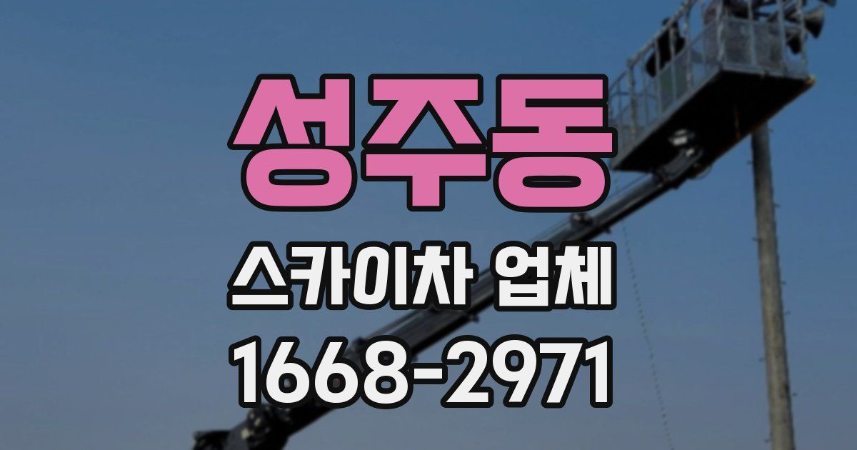 성주동 스카이차 업체