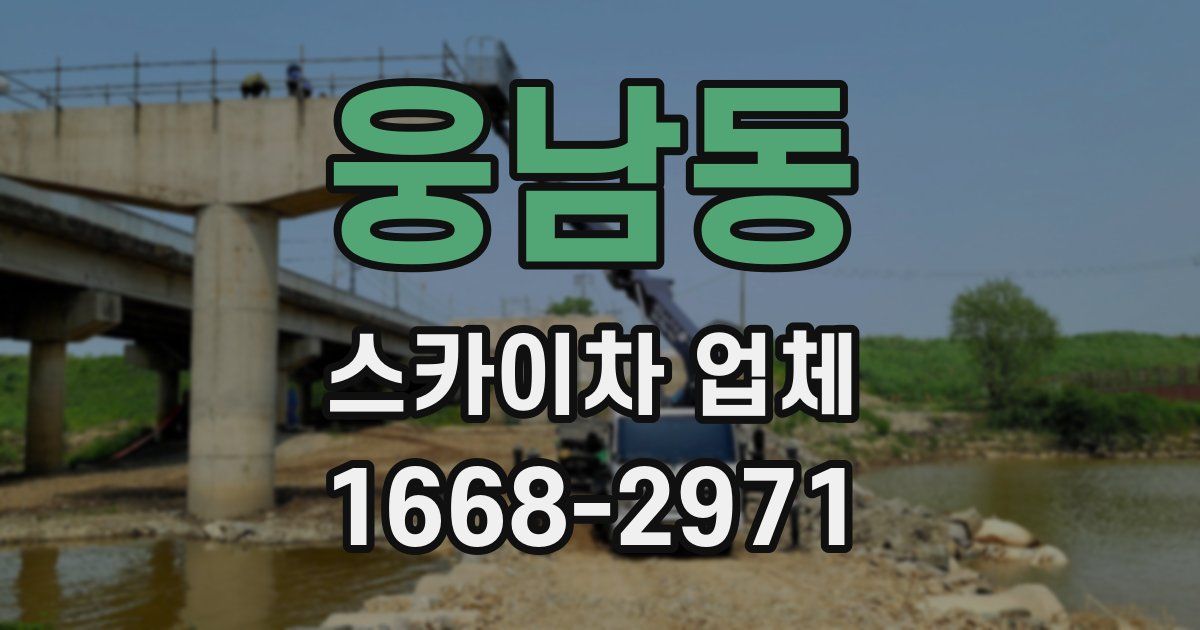 웅남동 스카이차 업체