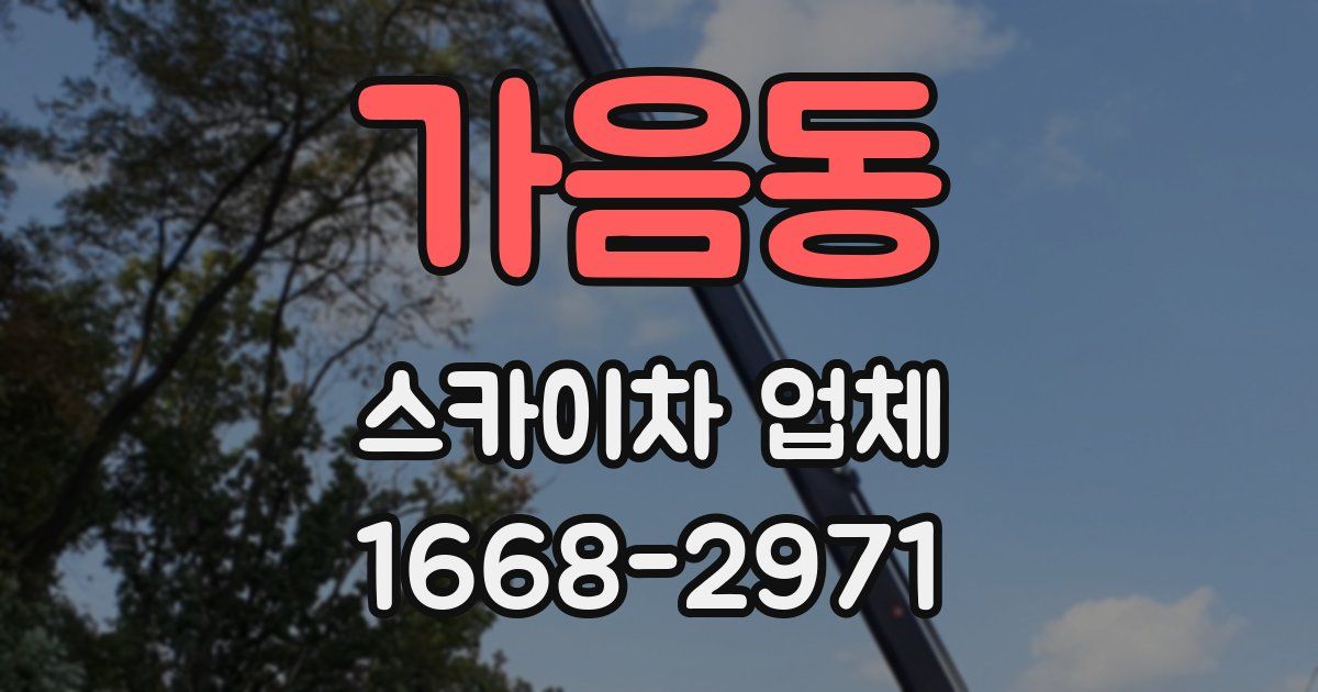 가음동 스카이차 업체