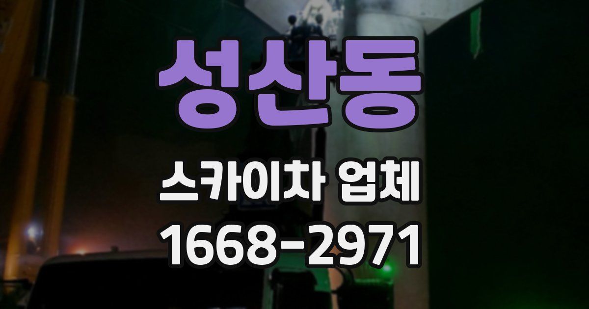 성산동 스카이차 업체