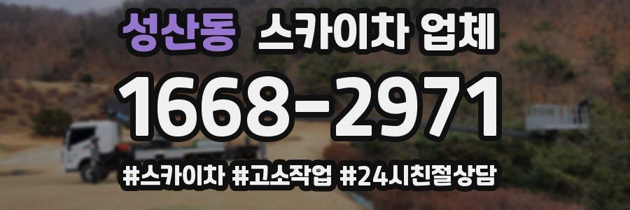 성산동 스카이차 업체