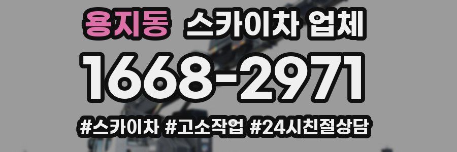 용지동 스카이차 업체