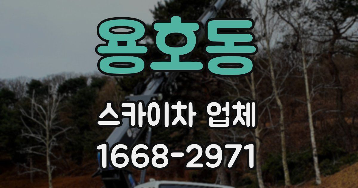 용호동 스카이차 업체