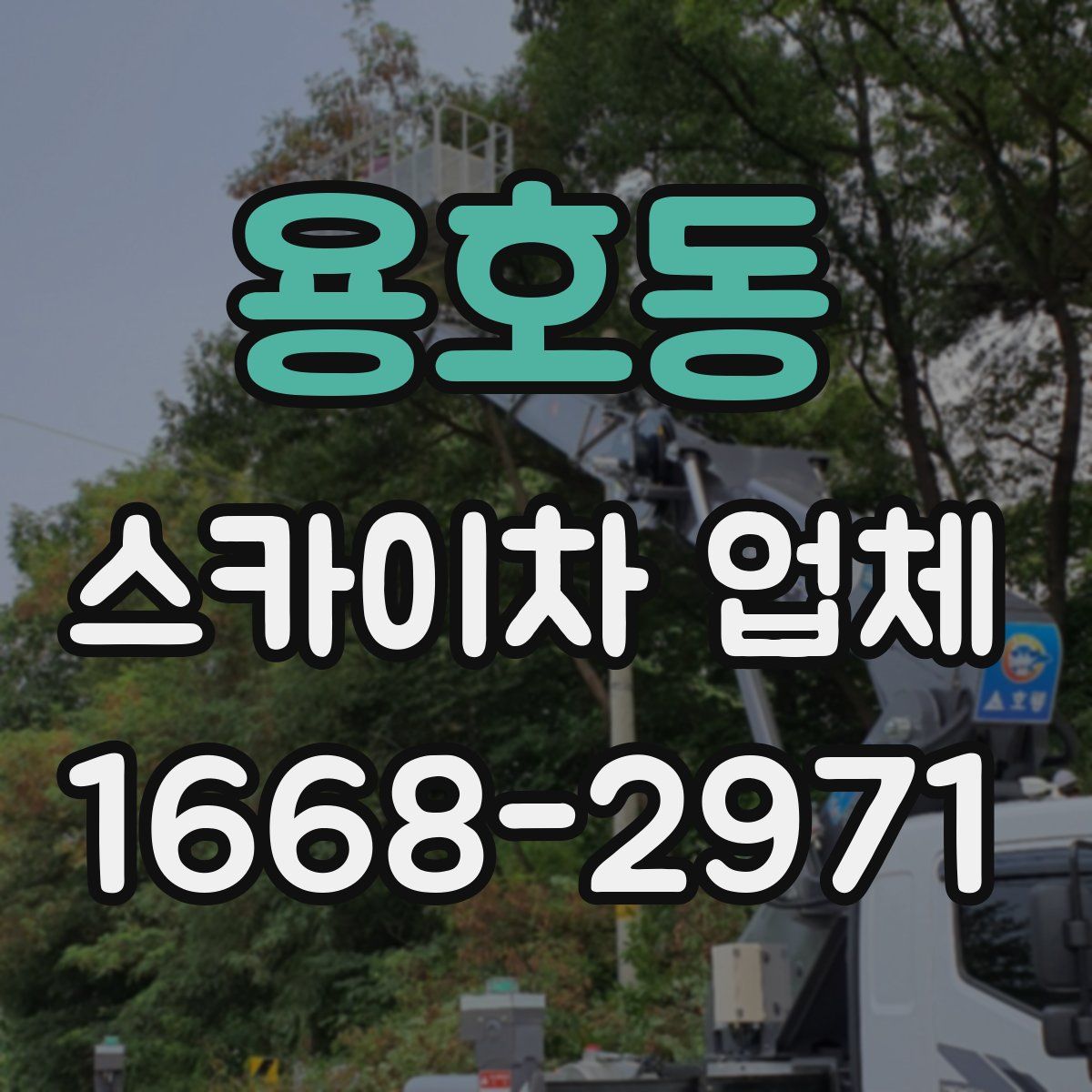 용호동 스카이차 업체