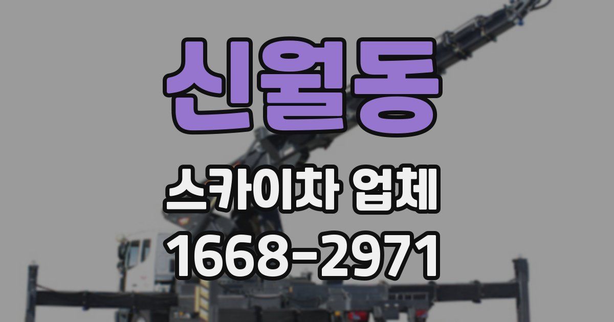 신월동 스카이차 업체