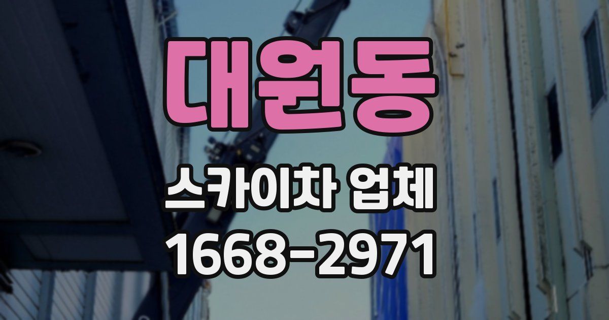 대원동 스카이차 업체