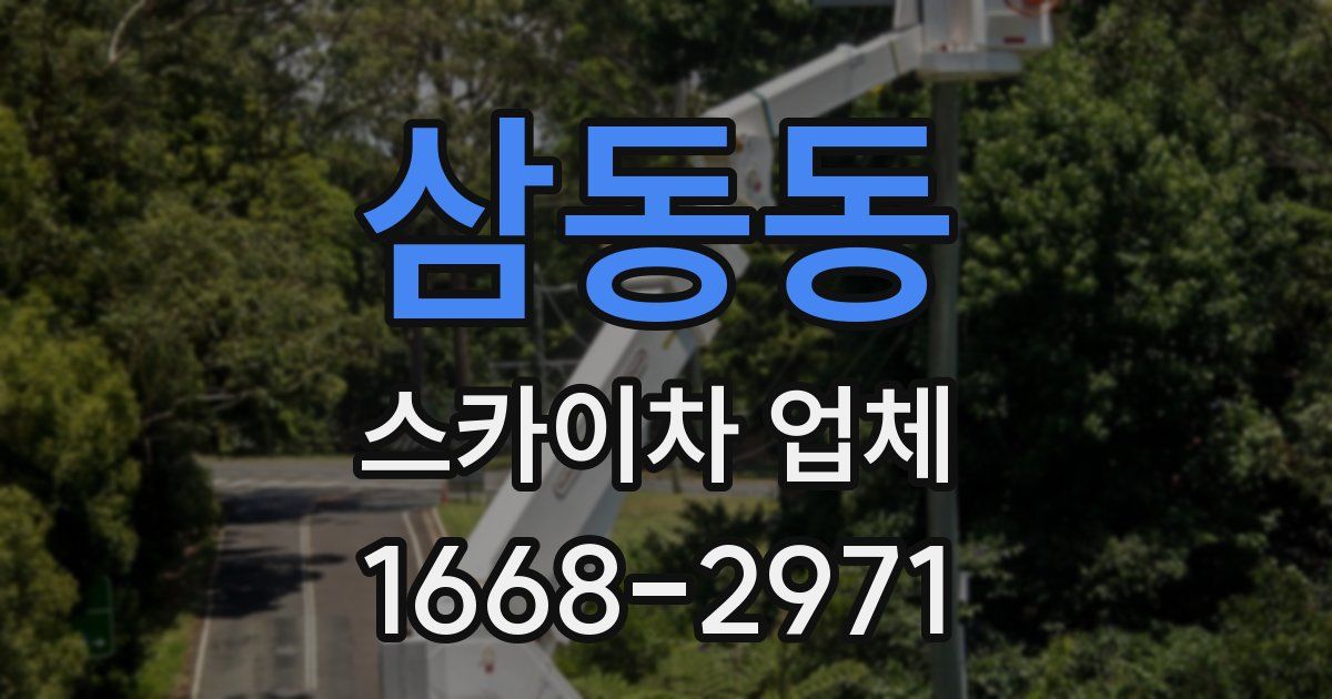 삼동동 스카이차 업체