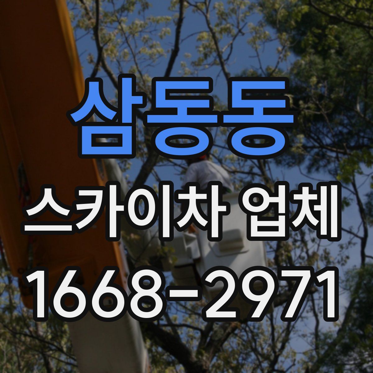 삼동동 스카이차 업체