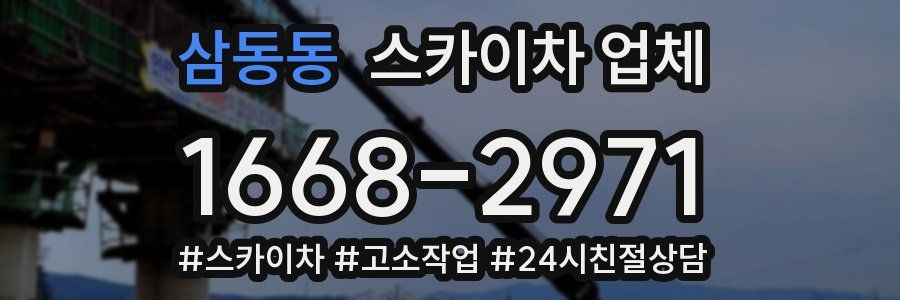 삼동동 스카이차 업체