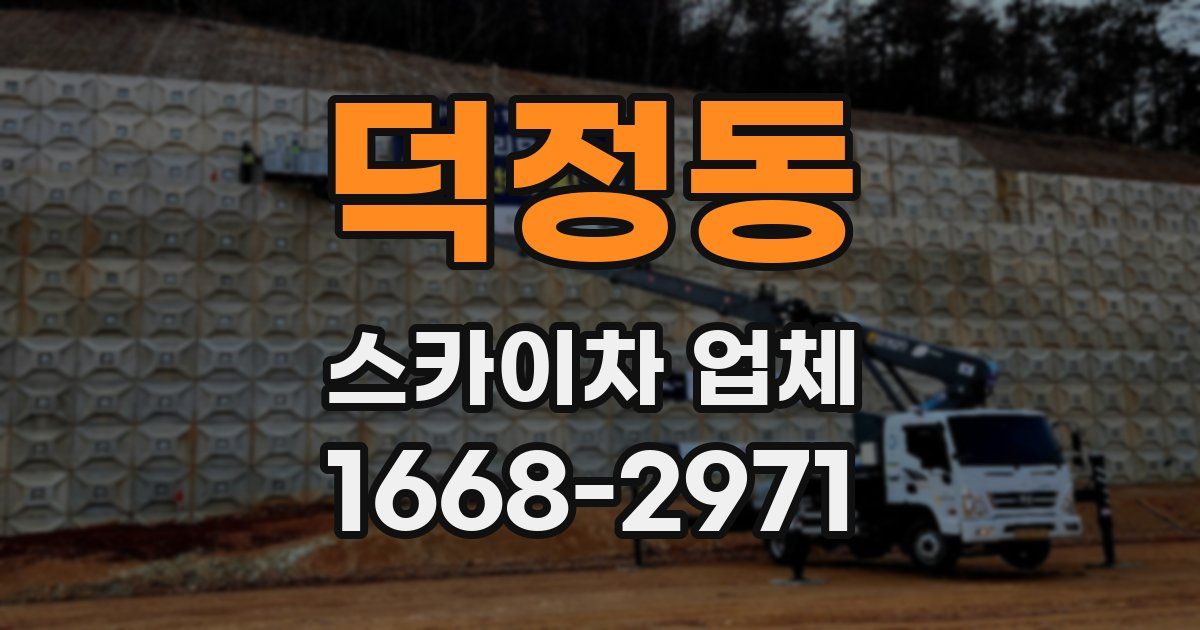 덕정동 스카이차 업체