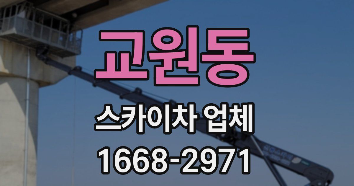 교원동 스카이차 업체