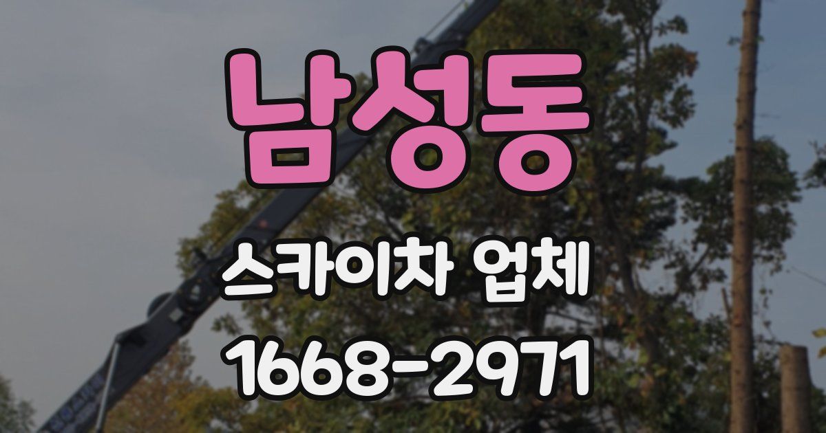 남성동 스카이차 업체