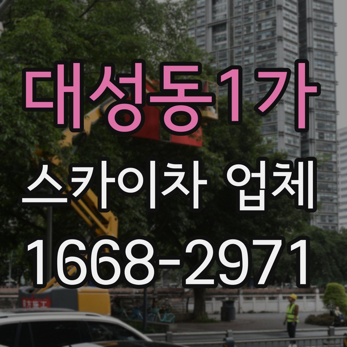 대성동1가 스카이차 업체