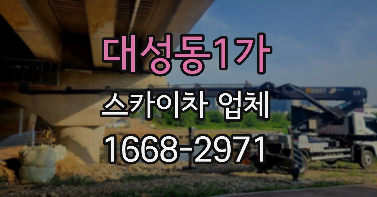 대성동1가 스카이차 업체